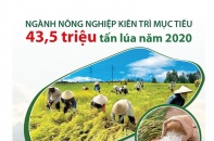 [Infographic] Ngành nông nghiệp kiên trì mục tiêu 43,5 triệu tấn lúa năm 2020