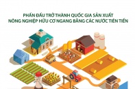 [Infographic] Việt Nam phấn đấu sản xuất nông nghiệp hữu cơ ngang bằng các nước tiên tiến