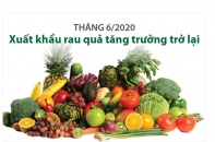 [Infographic] Tháng 6/2020, xuất khẩu rau quả tăng trưởng trở lại