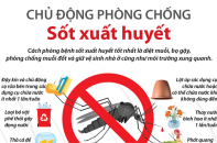 [Infographic] Chủ động phòng chống bệnh sốt xuất huyết