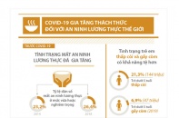 [Infographic] COVID-19 gia tăng thách thức đối với an ninh lương thực thế giới