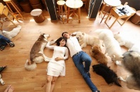 Thú cưng ở... chung cư!