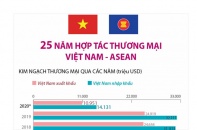 [Infographic] 25 năm hợp tác thương mại Việt Nam - ASEAN