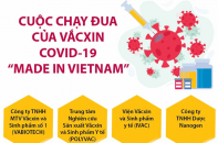 [Infographic] Vắcxin COVID-19 made in Vietnam chốt thời điểm cung ứng đại trà