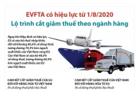 [Infographic] Lộ trình cắt giảm thuế theo ngành hàng trong EVFTA