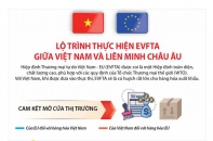 [Infographic] Lộ trình thực hiện EVFTA giữa Việt Nam và Liên minh châu Âu (EU)