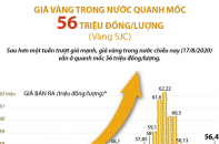 [Infographic] Giá vàng trong nước giao dịch quanh mốc 56 triệu đồng/lượng