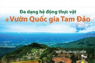 [Infographic] Đa dạng hệ động thực vật ở Vườn Quốc gia Tam Đảo