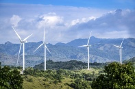 FECON trúng thầu thêm 2 dự án điện gió, tổng giá trị hợp đồng ký mới năm 2020 đạt 4.100 tỷ đồng 