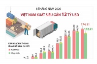 [Infographic] 8 tháng, Việt Nam xuất siêu gần 12 tỷ USD