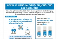 [Infographic] COVID-19 mang lại cơ hội phục hồi cho các đại dương