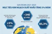 [Infographic] Giai đoạn 2021 - 2025: Mục tiêu kim ngạch xuất khẩu tăng 5%/năm