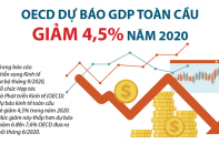 [Infographic] OECD dự báo GDP toàn cầu giảm 4,5% năm 2020