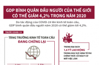 [Infographic] GDP bình quân đầu người của thế giới có thể giảm 4,2% do tác động của COVID-19