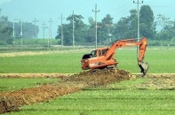 Chuyển đổi 39,92 ha đất trồng lúa sang đất phi nông nghiệp
