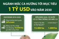[Infographic] Ngành mắc ca hướng tới mục tiêu 1 tỷ USD vào năm 2030
