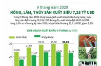 [Infographic] 9 tháng năm 2020, nông, lâm, thủy sản xuất siêu 7,25 tỷ USD