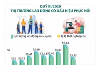 [Infographic] Quý III/2020: Thị trường lao động có dấu hiệu phục hồi