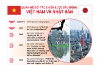 [Infographic] Quan hệ Đối tác chiến lược sâu rộng Việt Nam - Nhật Bản