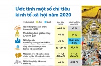 [Infographic] Ước tính một số chỉ tiêu kinh tế - xã hội năm 2020