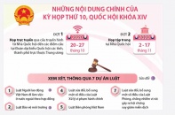 [Infographic] Những nội dung chính của Kỳ họp thứ 10, Quốc hội khóa XIV