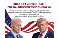 [Infographic] Khác biệt về chính sách của hai ứng viên Tổng thống Mỹ