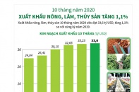 [Infographic] 10 tháng năm 2020, xuất khẩu nông, lâm, thủy sản tăng 1,1%