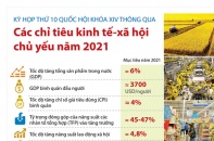 [Infographic] Các chỉ tiêu kinh tế - xã hội chủ yếu năm 2021
