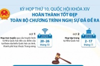 [Infographic] Kỳ họp thứ 10, Quốc hội Khóa XIV: Hoàn thành tốt đẹp các chương trình nghị sự