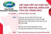[Infographic] Việt Nam tiếp tục phát huy vai trò tham gia, đóng góp tích cực trong APEC