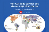 [Infographic] Việt Nam đóng góp tích cực vào các hoạt động của G20