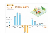 [Infographic] CPI tháng 11/2020 giảm 0,01%