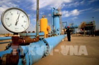OPEC+ nhất trí tăng sản lượng dầu từ tháng 1/2021