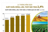 [Infographic] 11 tháng năm 2020, xuất khẩu nông, lâm, thủy sản tăng 2,4%