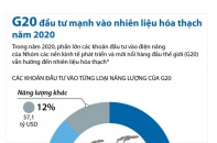 [Infographic] G20 vẫn đầu tư mạnh vào nhiên liệu hóa thạch trong năm 2020