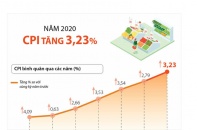 [Infographic] CPI bình quân năm 2020 tăng 3,23%
