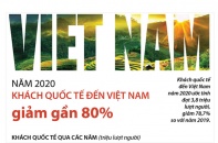 [Infographic] Năm 2020: Khách quốc tế đến Việt Nam giảm gần 80%