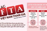 [Infographic] Các FTA Việt Nam đã tham gia