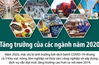 [Infographic] Tăng trưởng của các ngành năm 2020