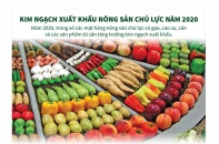 [Infographic] Kim ngạch xuất khẩu nông sản chủ lực năm 2020