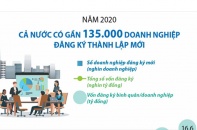 [Infographic] Năm 2020, cả nước có gần 135 nghìn doanh nghiệp đăng ký thành lập mới 