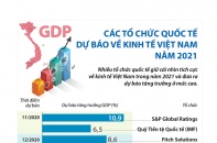 [Infographic] Các tổ chức quốc tế dự báo về kinh tế Việt Nam năm 2021