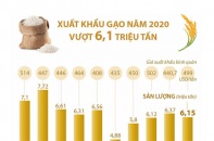 [Infographic] Xuất khẩu gạo cả năm 2020 vượt 6,1 triệu tấn