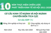 [Infographic] Cơ cấu kinh tế ngành và nội ngành chuyển biến tích cực trong giai đoạn 2011 - 2020