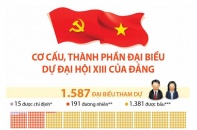 [Infographic] Cơ cấu, thành phần đại biểu dự Đại hội XIII của Đảng