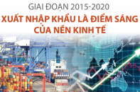[Infographic] Giai đoạn 2015 - 2020, xuất nhập khẩu là điểm sáng của nền kinh tế