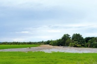 An Giang được phép chuyển mục đích sử dụng 70,85 ha đất trồng lúa sang đất phi nông nghiệp