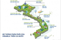 Tổng giá trị của 50 thương hiệu dẫn đầu Việt Nam 2020: Vinamilk chiếm hơn 20%