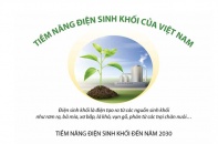 [Infographic] Tiềm năng điện sinh khối của Việt Nam