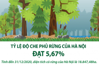 [Infographic] Tỷ lệ độ che phủ rừng của Hà Nội đạt 5,67%